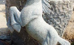 DSCF0874
