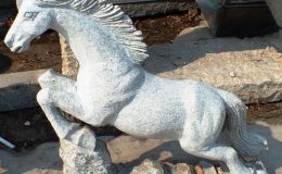 DSCF9365