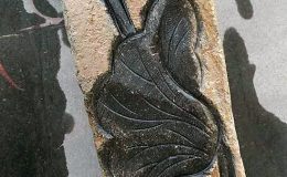 Basaltsäule-05.jpg