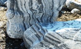 DSCF0273