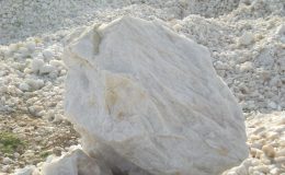 DSCN1870